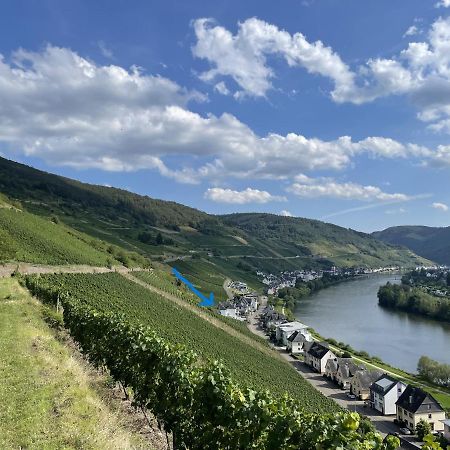 The Vineyard View Apartamento Zell an der Mosel Exterior foto