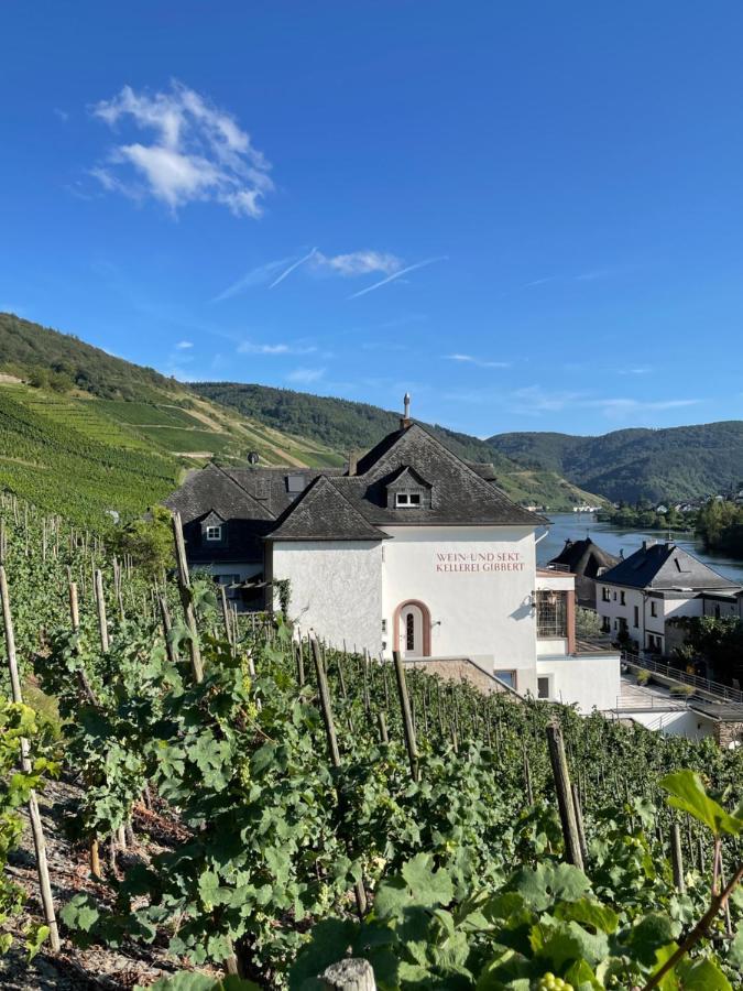 The Vineyard View Apartamento Zell an der Mosel Exterior foto